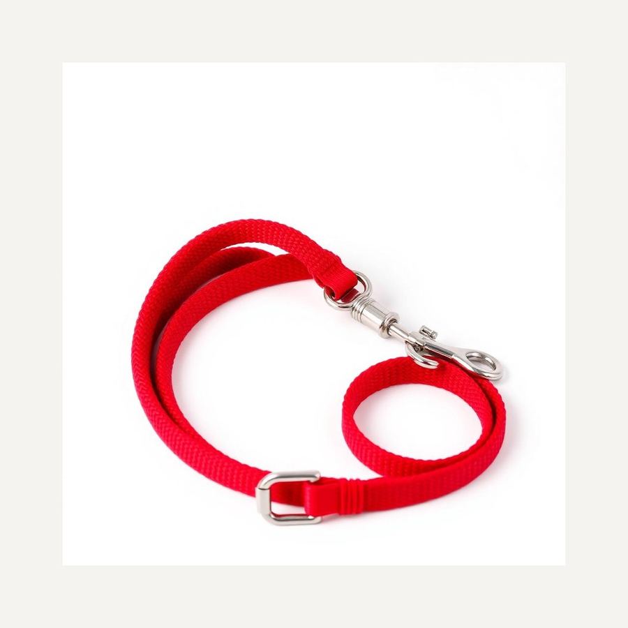 Adjustable Leash — In packaging