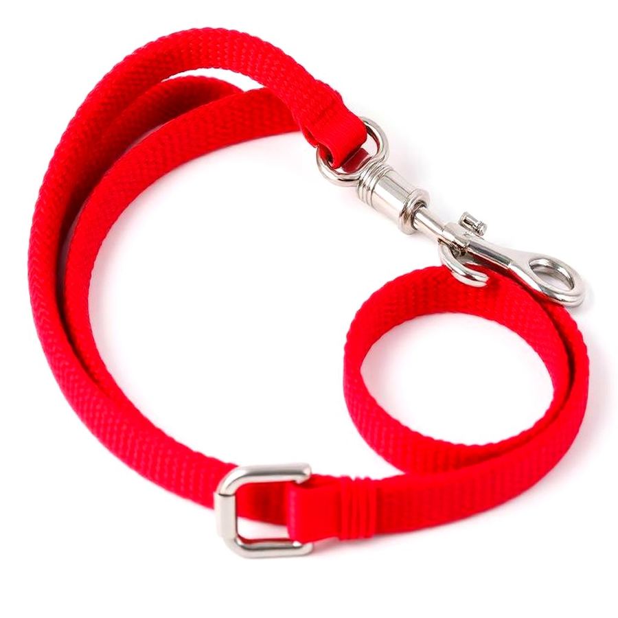 Adjustable Leash — Lifestyle