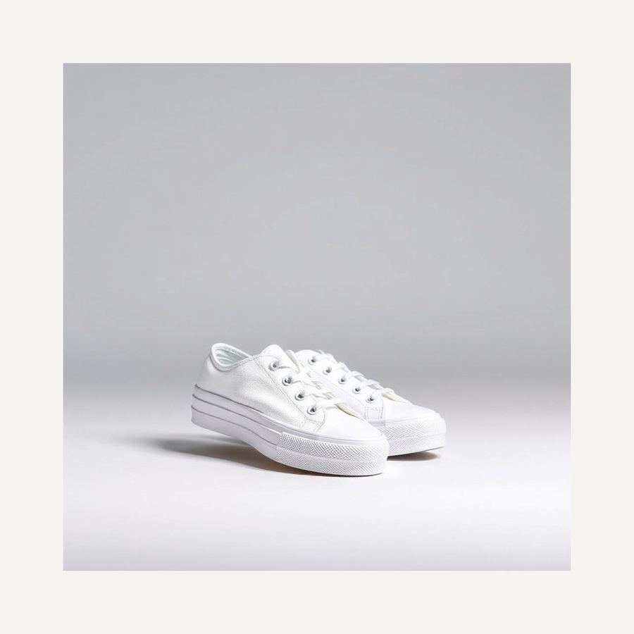 Canvas Sneakers — In packaging